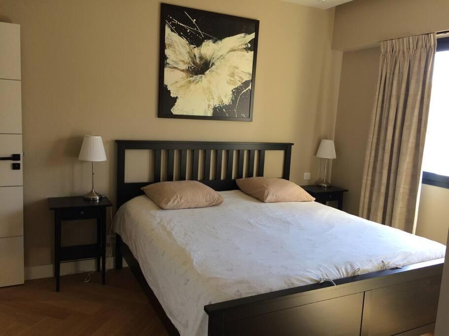 Lovely Refurbished Apartment Ніцца Екстер'єр фото